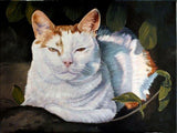 Personalized Oil Painting From Photos, handcraft art on Canvas-Show Case OSO100575-12