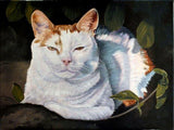 F&S Gift Store Custom Cat Portraits from photo, Oil painting, Commission a painting of your Cat, Cat Memorial, Gifts for her, Gifts for him.