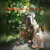 F&S Gift Store Easter Sunday with the Kids, custom Dog Paintings, oil portrait paintings from your photos, 12x12"
