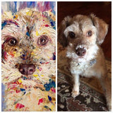 Personalized Oil Painting From Photos, handcraft art on Canvas-Show Case INK101921-48