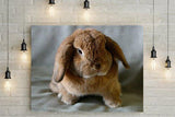 F&S Gift Store Custom Pet Portrait - Personalized Oil Painting Effect Canvas Print or Printable