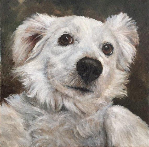 F&S Gift Store 8" x 8" Custom Pet Portrait Oil Painting - animal painting - dog art - gifts for dog lovers