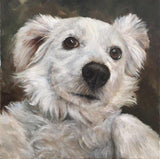 F&S Gift Store 8" x 8" Custom Pet Portrait Oil Painting - animal painting - dog art - gifts for dog lovers