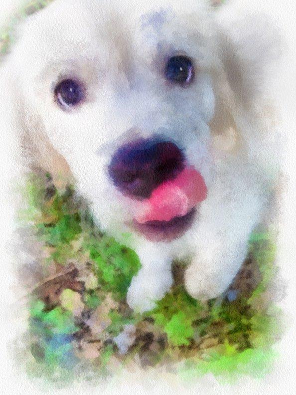 Personalized Oil Painting From Photos, handcraft art on Canvas-Show Case LDE102446-12