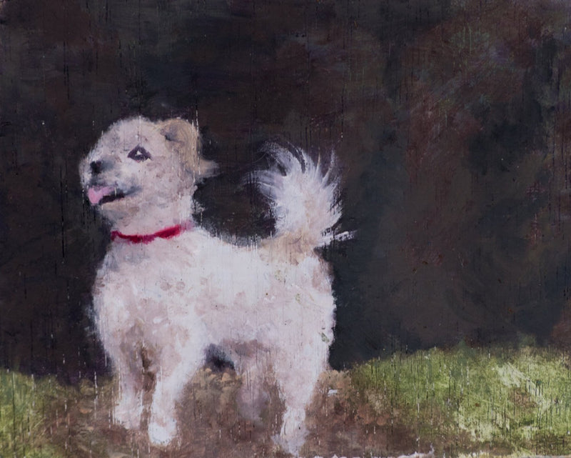 F&S Gift Store Pet Portrait Custom Miniature Oil Painting, commission an artwork of your pet; cat, dog, bird, rabbit, any animal!