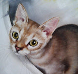 F&S Gift Store Custom Pet Portrait of the Kitty Oil Painting Cat Animal Portrait