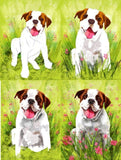 Personalized Oil Painting From Photos, handcraft art on Canvas-Show Case NCJ102005-36