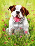 Personalized Oil Painting From Photos, handcraft art on Canvas-Show Case NCJ102005-36