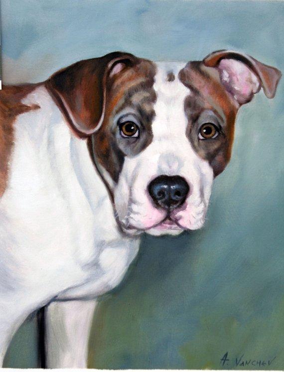 F&S Gift Store Pitbull painting,Oil Portrait, custom,from photo, animal portrait, handmade,custom painting, pet painting,oil on canvas, pitbull portrait