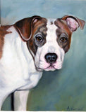 F&S Gift Store Pitbull painting,Oil Portrait, custom,from photo, animal portrait, handmade,custom painting, pet painting,oil on canvas, pitbull portrait