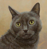 F&S Gift Store Cat Pet Portrait Custom Commission Oil Painting Cammie Miniature Realistic 6x6 Gift Item Framed Free Shipping