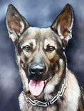 Personalized Oil Painting From Photos, handcraft art on Canvas-Show Case HMD100291-30