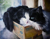 F&S Gift Store Custom Pet Portrait, Cat Portrait, Animal Art, Black and White Cat Painting, Custom Paintings, Oil Painting, 16x20