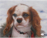 Personalized Oil Painting From Photos, handcraft art on Canvas-Show Case FFS102214-24