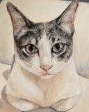 F&S Gift Store CUSTOM Siamese Seal Point Cat Maltese Dog Oil Painting Pet Portrait Artwork-RSPCA Manchester Salford Donation -Charity Artwork Animal Pet