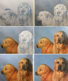 Personalized Oil Painting From Photos, handcraft art on Canvas-Show Case HKJ101064-72