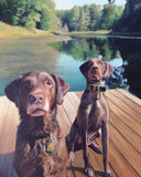 Personalized Oil Painting From Photos, handcraft art on Canvas-Show Case TAB101072-36
