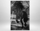 F&S Gift Store Custom, horse portrait to order, custom oil portrait, animal portraits, painting to your photo template, photo realism