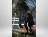 F&S Gift Store Custom, horse portrait to order, custom oil portrait, animal portraits, painting to your photo template, photo realism