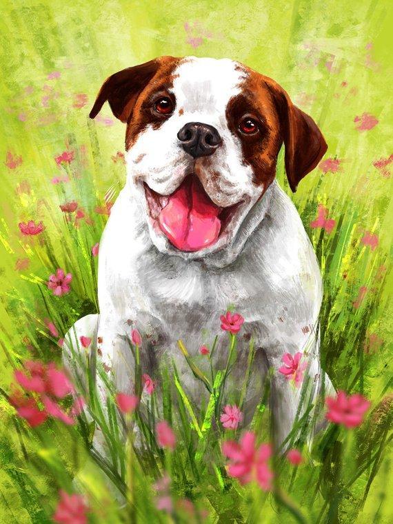 Personalized Oil Painting From Photos, handcraft art on Canvas-Show Case NCJ102005-36