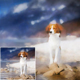 F&S Gift Store Custom Pet Portrait | Dog/Cat portrait | Personalized Gift Idea | Oil Pet Portrait | Personalized Pet Portrait | Custom Dog Portrait