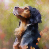 F&S Gift Store Custom Pet Portrait | Dog/Cat portrait | Personalized Gift Idea | Oil Pet Portrait | Personalized Pet Portrait | Custom Dog Portrait