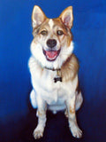 Personalized Oil Painting From Photos, handcraft art on Canvas-Show Case OHI101595-12