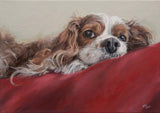 Personalized Oil Painting From Photos, handcraft art on Canvas-Show Case DLC101155-30