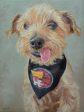 F&S Gift Store Pet portrait, Dog portrait, Pet painting, Dog Art, Yorkshire Terrier -oil painting on canvas. 50% DEPOSIT. Handmade Custom pet portrait.