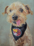 Personalized Oil Painting From Photos, handcraft art on Canvas-Show Case SAD102299-48