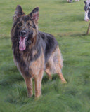 Personalized Oil Painting From Photos, handcraft art on Canvas-Show Case RBC100738-24