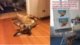Personalized Oil Painting From Photos, handcraft art on Canvas-Show Case KFM102502-48