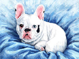 Personalized Oil Painting From Photos, handcraft art on Canvas-Show Case TCH101110-20