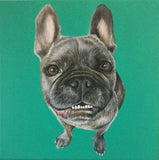 F&S Gift Store 10x10x1.5â€?Custom pet painting portrait on canvas from photo oil or acrylic original dog cat Boston terrier art lavender decor