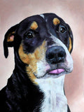 Personalized Oil Painting From Photos, handcraft art on Canvas-Show Case BGD101914-20