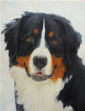 Personalized Oil Painting From Photos, handcraft art on Canvas-Show Case TMB101300-20