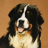 Personalized Oil Painting From Photos, handcraft art on Canvas-Show Case TMB101300-20