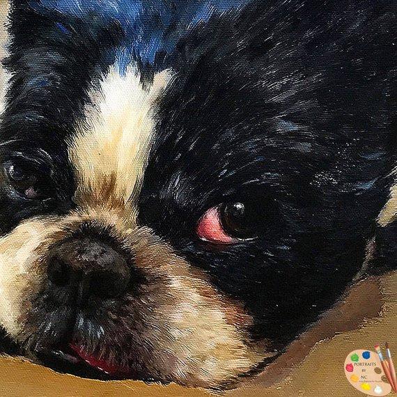 F&S Gift Store Boston Terrier Oil Portrait - Custom Dog Portrait - Boston Terrier Painting from your Photo - Portraits by NC