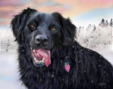 Personalized Oil Painting From Photos, handcraft art on Canvas-Show Case FEB102573-48