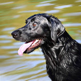Personalized Oil Painting From Photos, handcraft art on Canvas-Show Case FEB102573-48