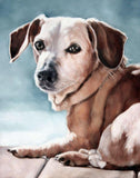 Personalized Oil Painting From Photos, handcraft art on Canvas-Show Case MMF102221-36
