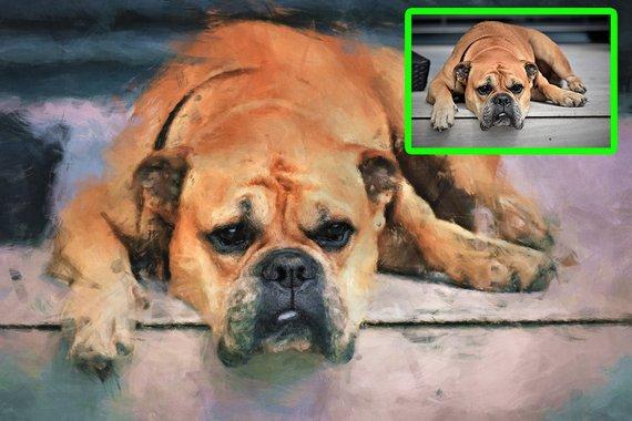 F&S Gift Store Custom Pet Dog Portrait Painting from Photo, Poster, Canvas or Digital File