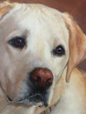 F&S Gift Store Custom Dog portrait oil painting. Pet portrait. Original oil painting. Commission painting. Christmas Gift for anyone Home decor