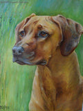 F&S Gift Store CUSTOM DOG memorial PORTRAIT from photos Commision Realistic painting on canvas Scenic Pet portrait Dog Art hand painted gift for dog lover