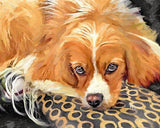 Personalized Oil Painting From Photos, handcraft art on Canvas-Show Case OFO101149-12
