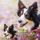 F&S Gift Store Custom Pet Portrait | Dog/Cat portrait | Personalized Gift Idea | Oil Pet Portrait | Personalized Pet Portrait | Custom Dog Portrait