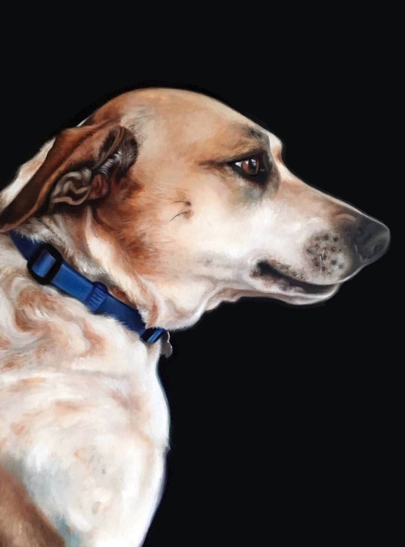 F&S Gift Store custom portraits, custom pets, cat/dog portraits, oil paintings