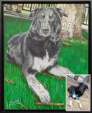 F&S Gift Store 16in x 20in â€?Custom Pet Portrait Painting from Photo, Dog Painting, Cat Painting, Memorial, Animal Lover Gift, Time-Lapse, Frame Included