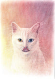 Personalized Oil Painting From Photos, handcraft art on Canvas-Show Case NJG100528-12