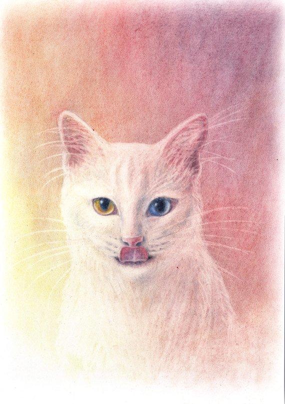 F&S Gift Store Custom art/painting from photo/custom pet portrait/custom drawing/custom cat portrait/custom cat art/custom cat painting/portrait to order
